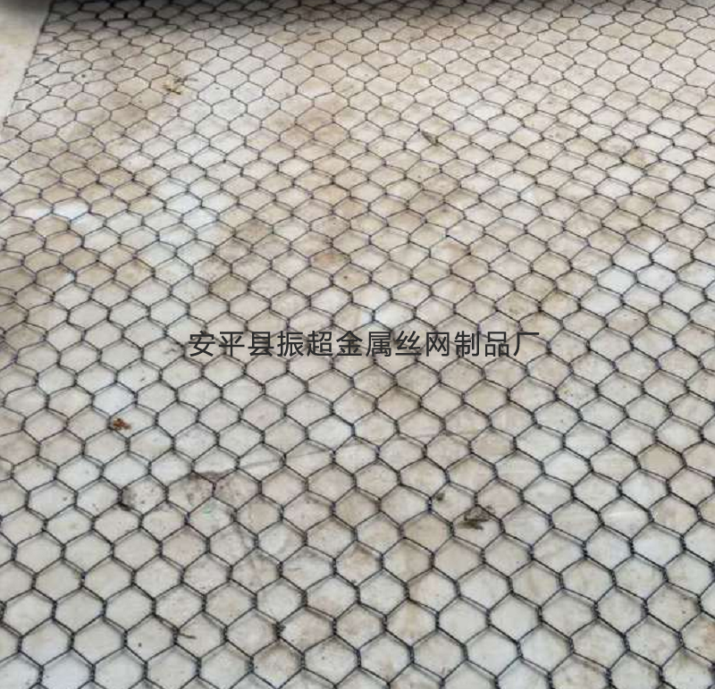 聚酯线围网,塑钢线围网-www.zhenchaowy.com