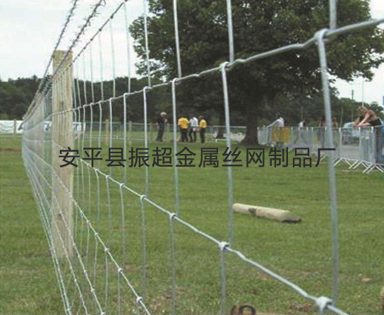 铁丝围网-www.zhenchaowy.com