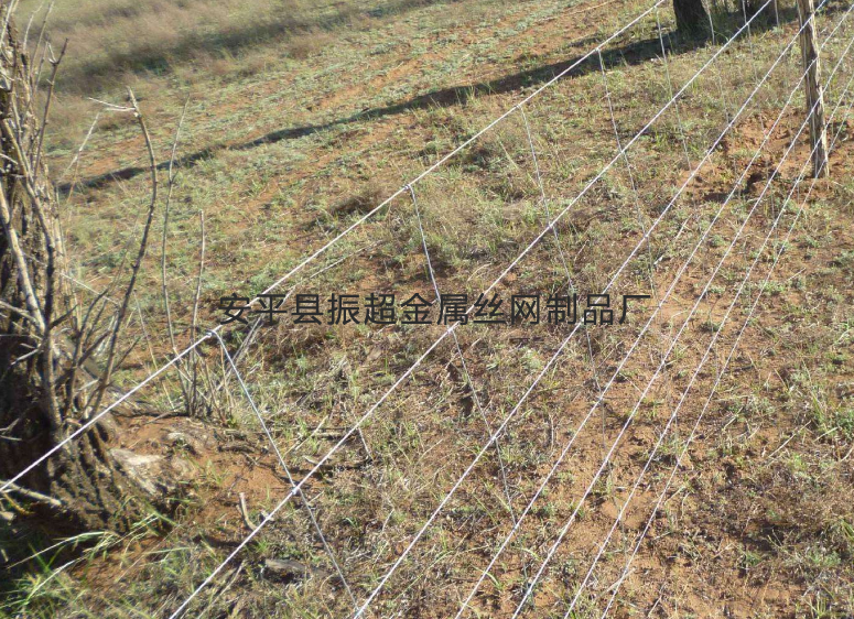 铁丝围网-www.zhenchaowy.com