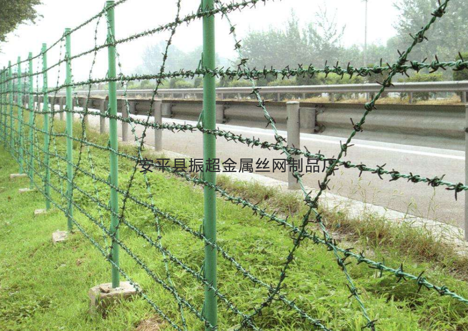 有刺铁丝围网-www.zhenchaowy.com