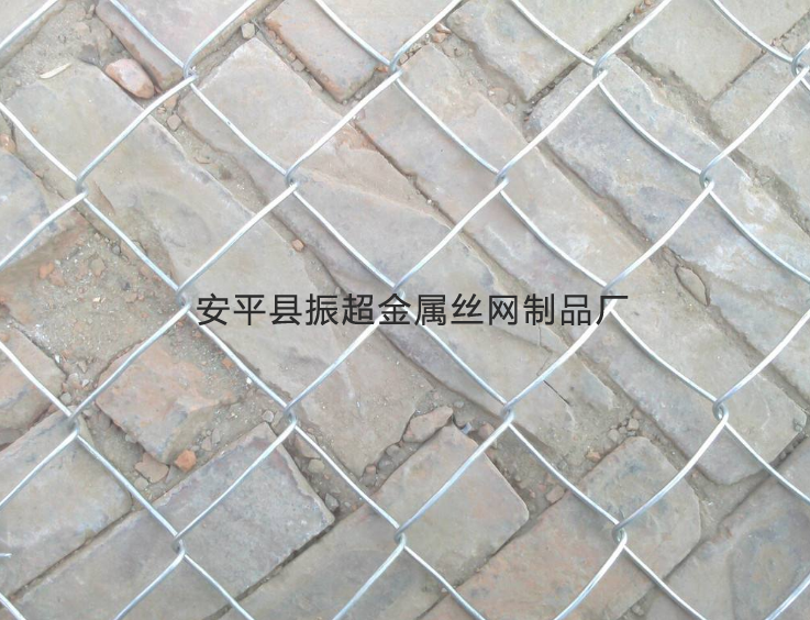 钢丝围网-www.zhenchaowy.com