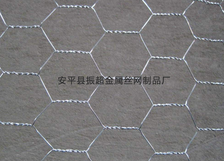 六角铁丝围网-www.zhenchaowy.com