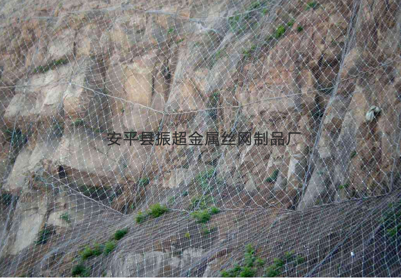 钢丝绳围网-www.zhenchaowy.com