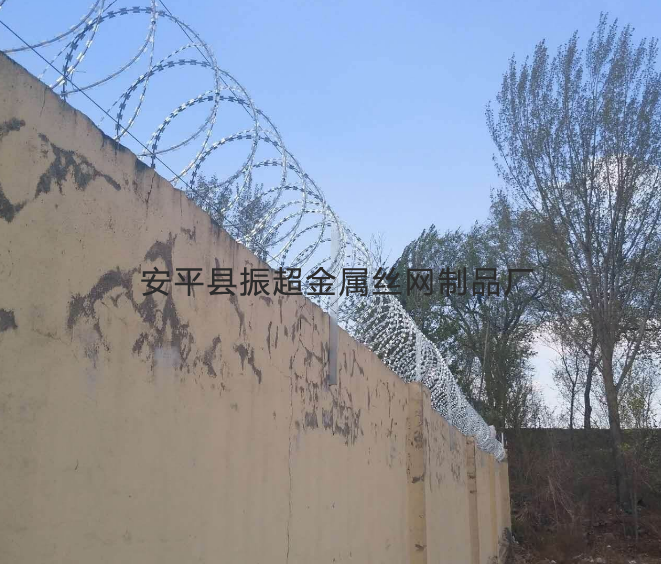 刀片围网-www.zhenchaowy.com