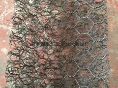 <b>深海养殖围网</b>