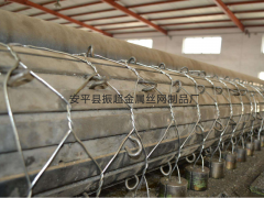 围网车间